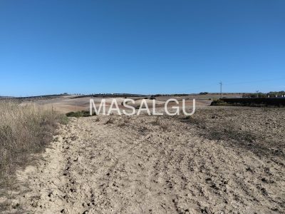 WhatsApp Image 2025-11-10 at 18.53.57