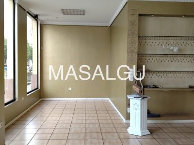 WhatsApp Image 2025-11-17 at 13.46.35 copia