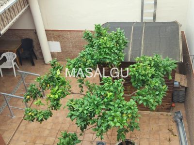 WhatsApp Image 2026-01-07 at 13.17.49 (1)