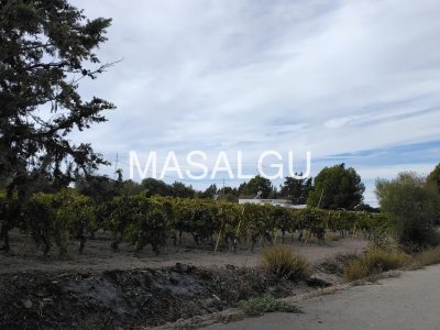 WhatsApp Image 2026-01-15 at 13.32.27 (1)